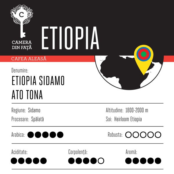 Cafea Etiopia Sidamo Ato Tona