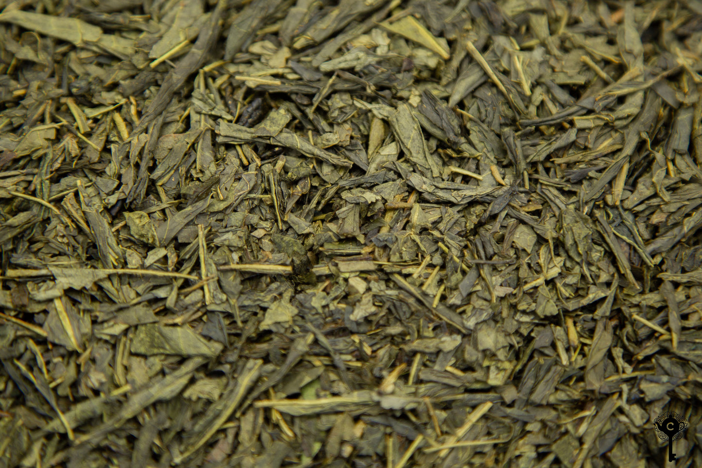 SENCHA VANILLA