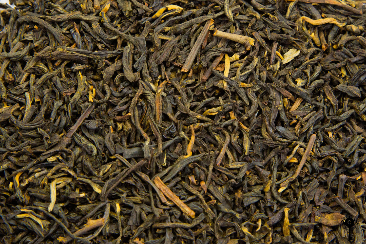 CHINA TARRY LAPSANG SOUCHONG