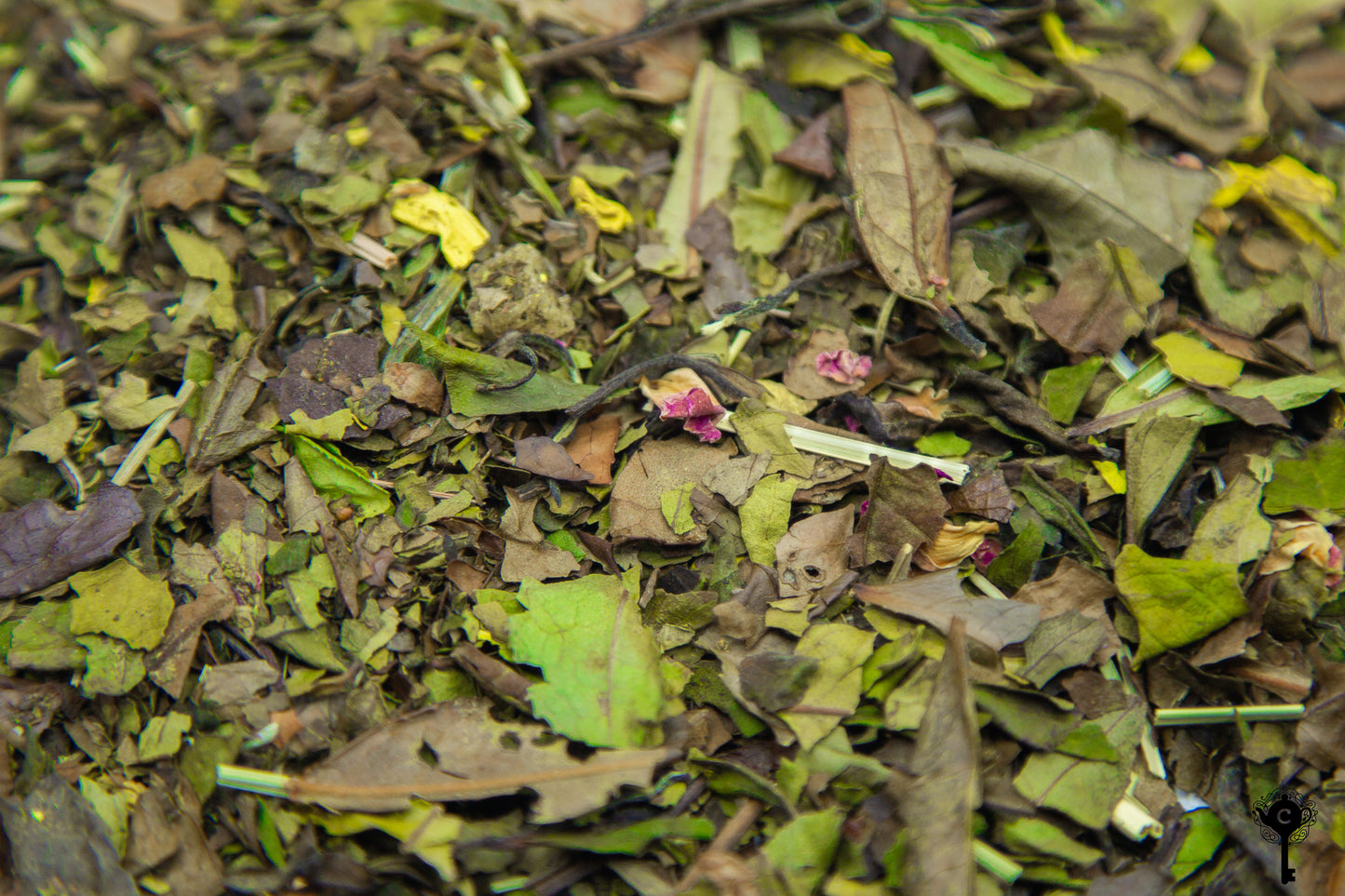 PAI MU TAN FINE GUAVA